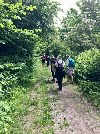 Mennesker der vandrer på sti i det grønne